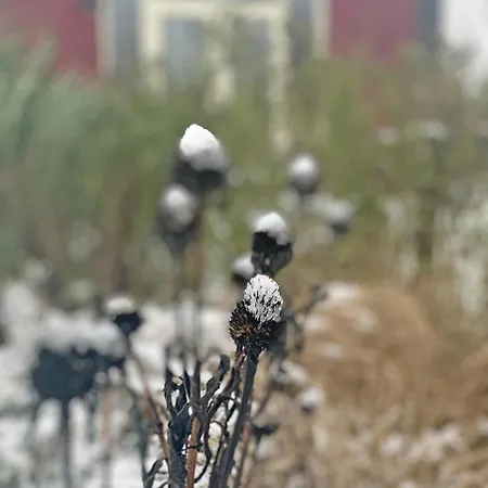 Bed & Breakfast De Rooie Hooimijt 3*