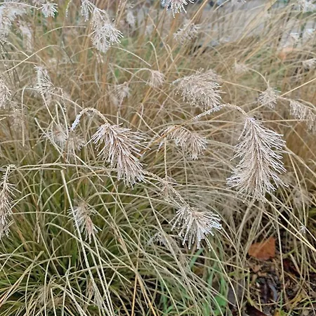 De Rooie Hooimijt Bed & Breakfast