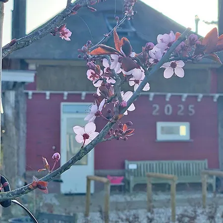 Frühstückspension De Rooie Hooimijt