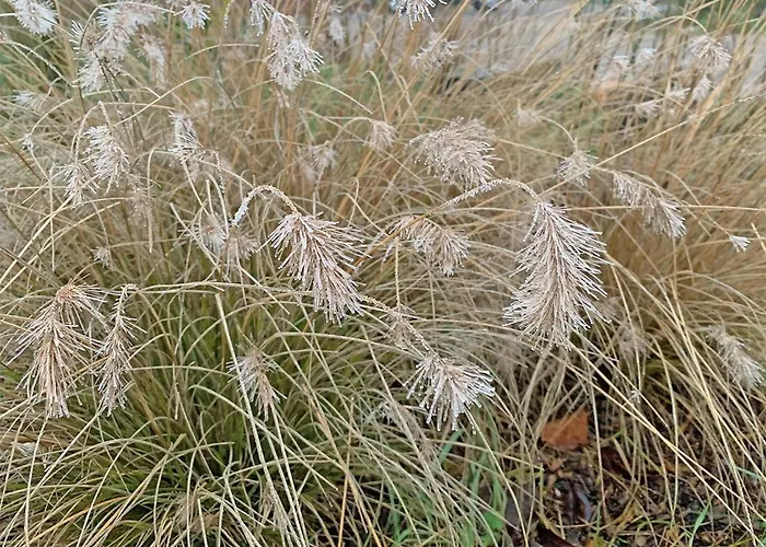 De Rooie Hooimijt Bed & Breakfast