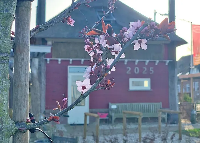 B&B De Rooie Hooimijt